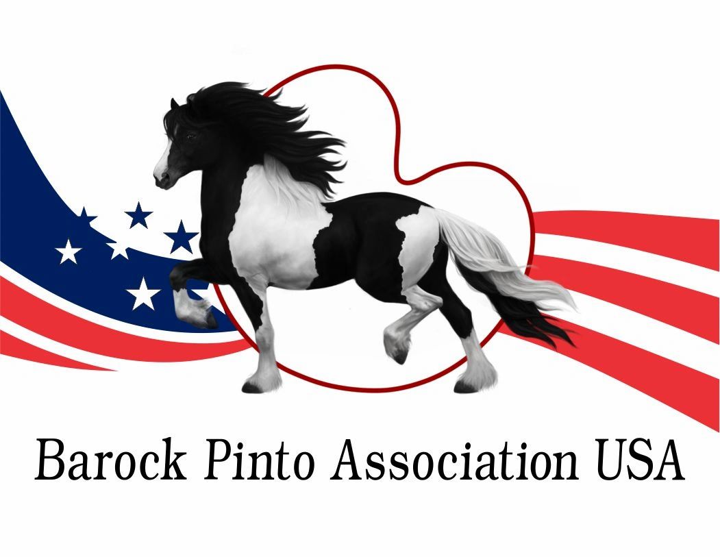 Barock Pinto Association, USA